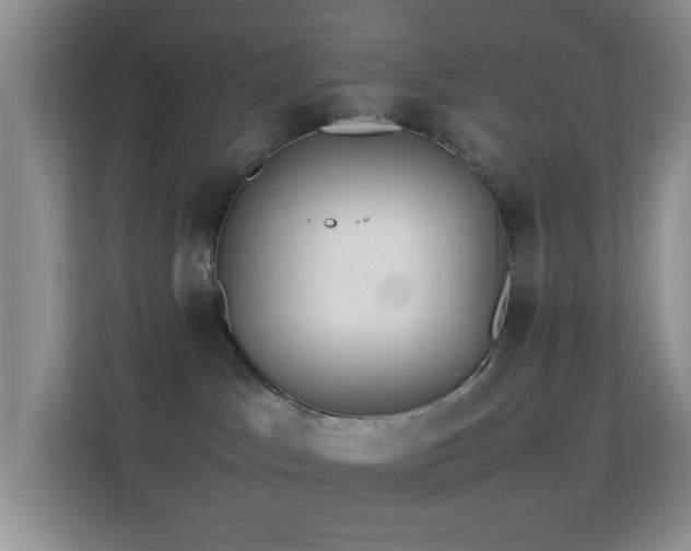 X0000113640045200909251250