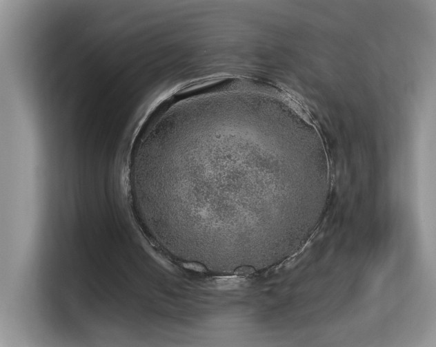 X0000113640050200909251249