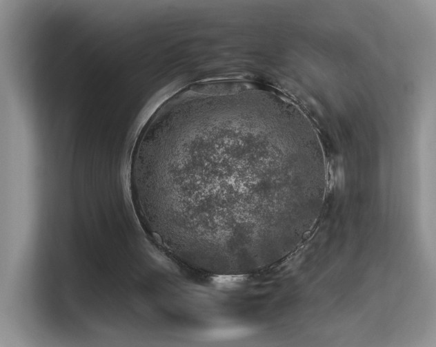 X0000113640051200909251249