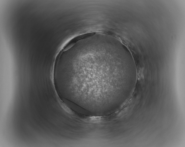 X0000113640052200909251249