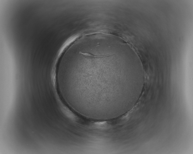 X0000113640054200909251249