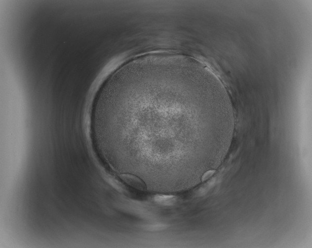 X0000113640055200909251249