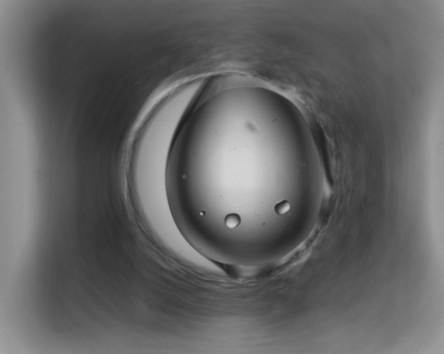 X0000113640056200909251249