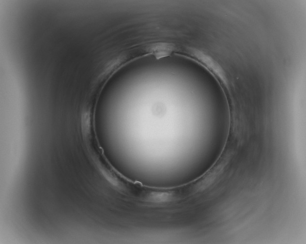 X0000113640057200909251249