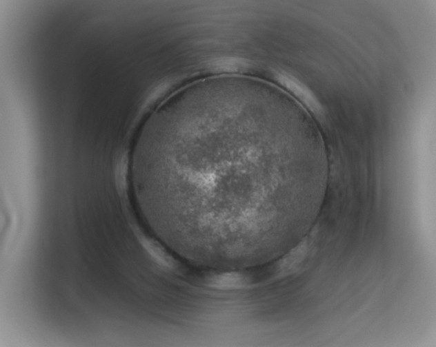 X0000113640058200909251249