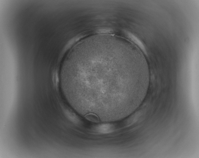 X0000113640059200909251250