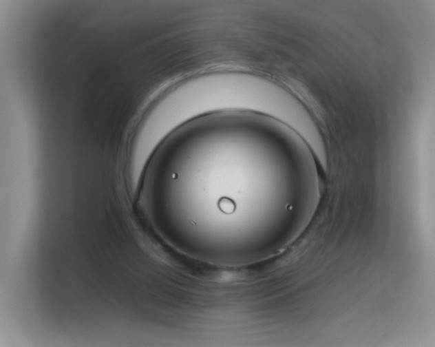 X0000113640060200909251250