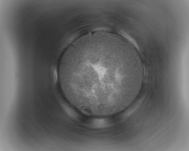 X0000113640061200909251250