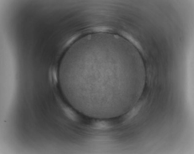 X0000113640062200909251250