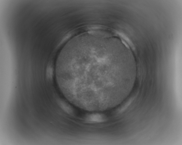 X0000113640063200909251250