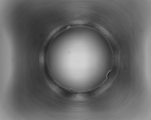 X0000113640064200909251250