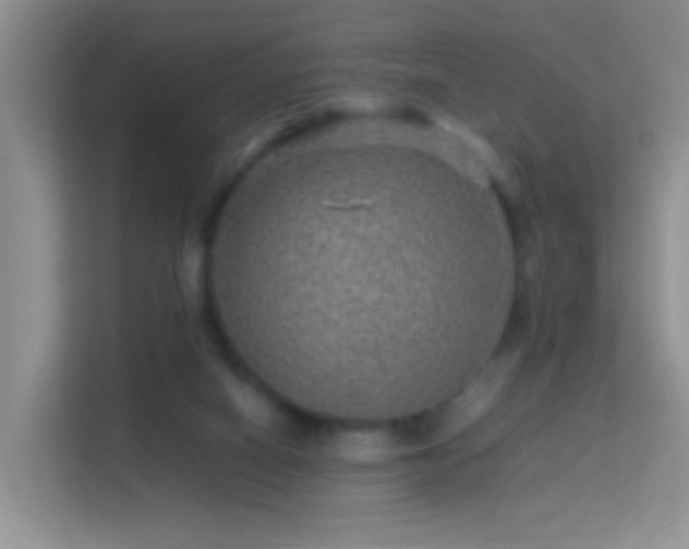 X0000113640066200909251250