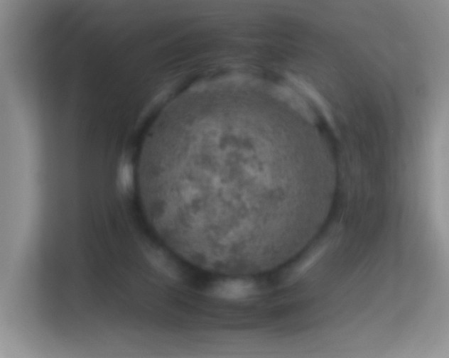 X0000113640067200909251250