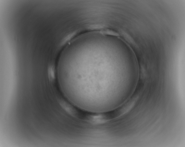 X0000113640068200909251250