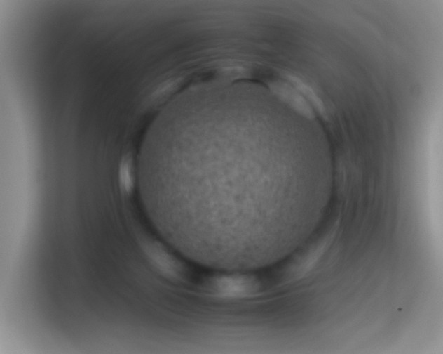 X0000113640069200909251250