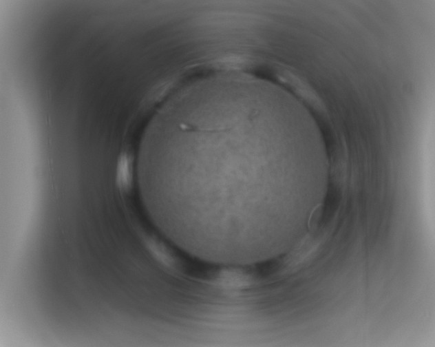 X0000113640070200909251250