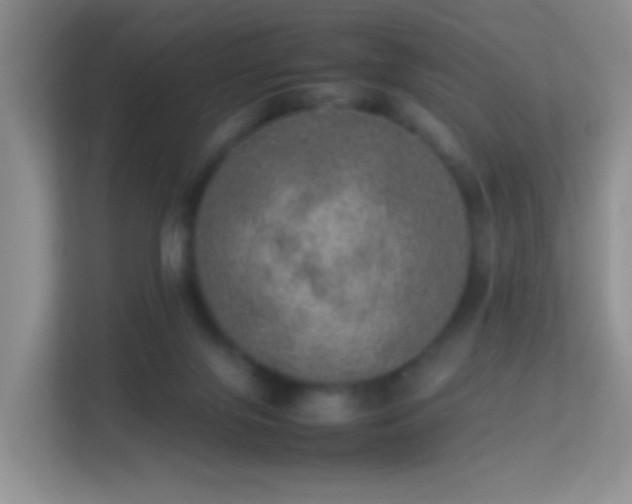 X0000113640071200909251250