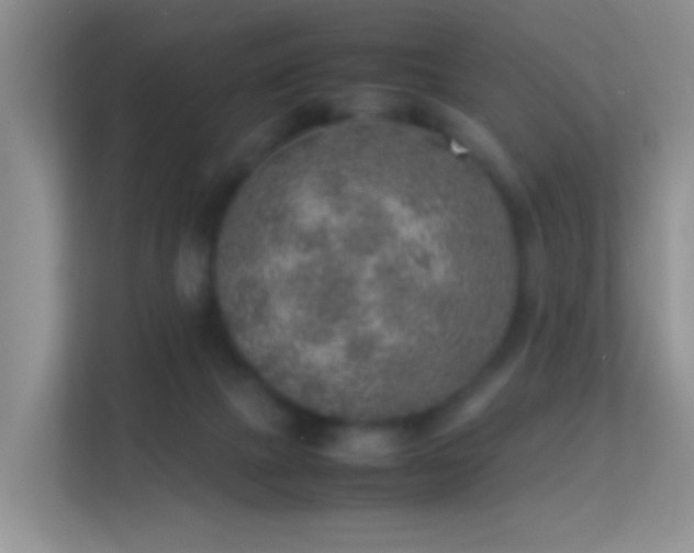 X0000113640073200909251250