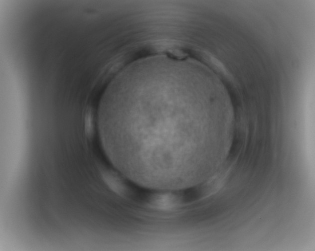 X0000113640074200909251250