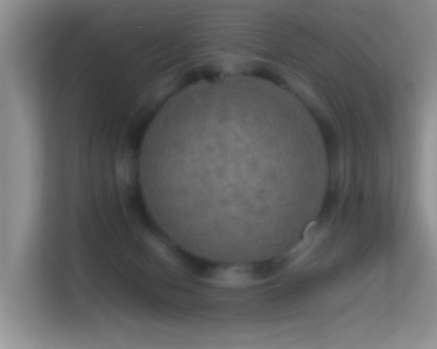 X0000113640078200909251250