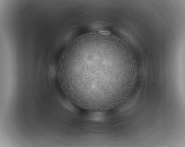 X0000113640081200909251250