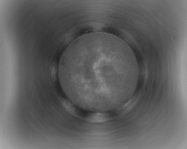 X0000113640082200909251250