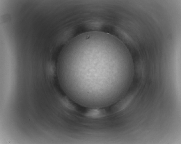 X0000113640083200909251250