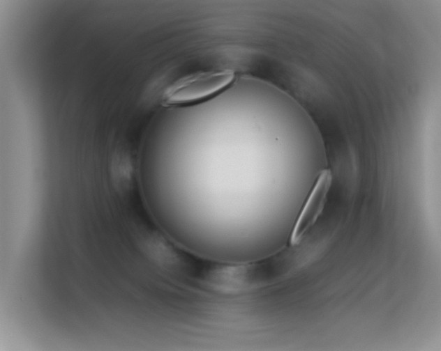 X0000113640084200909251250