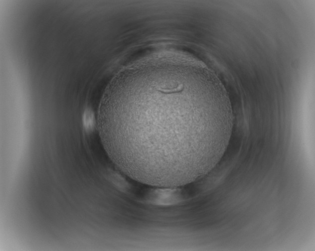 X0000113640089200909251250