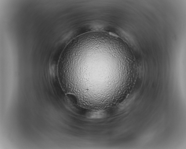 X0000113640093200909251250