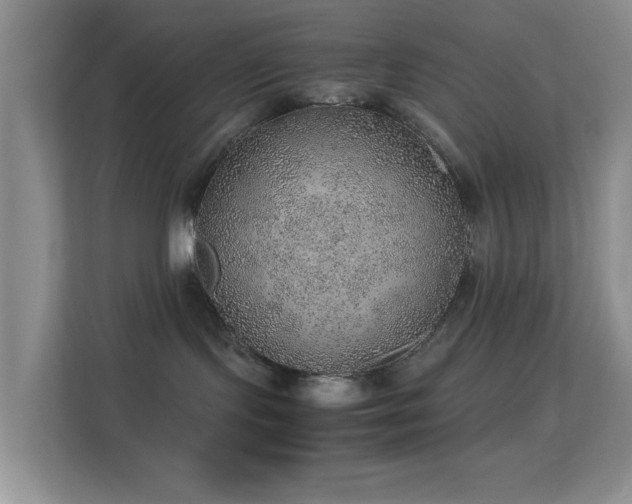 X0000113640095200909251250