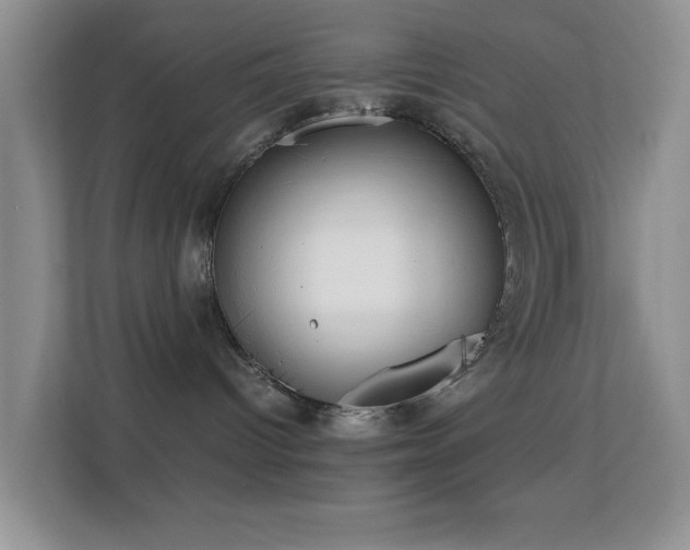 X0000113640096200909251250