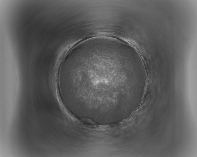 X0000113640097200909251249