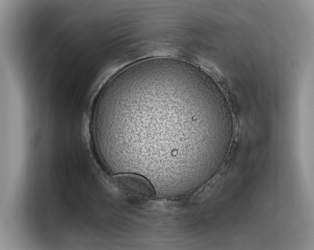 X0000113640098200909251249