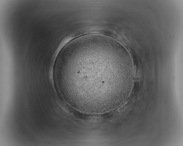 X0000113640099200909251249