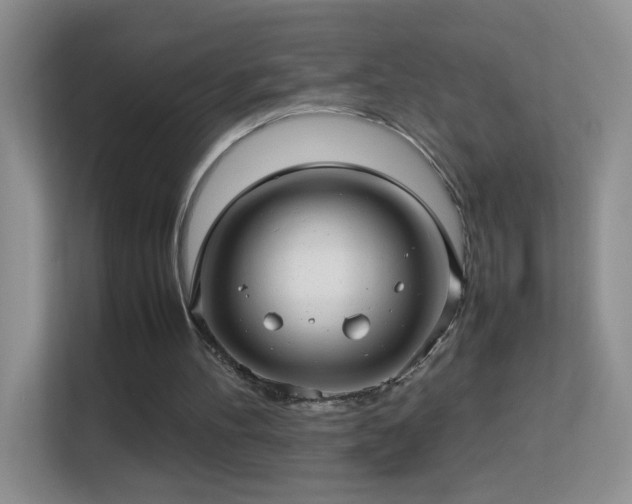 X0000113640100200909251249