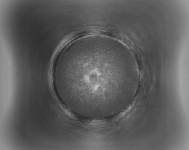 X0000113640101200909251249