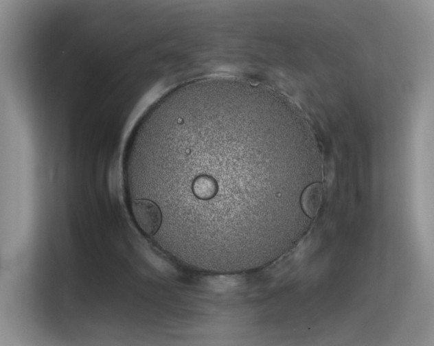 X0000113640102200909251249