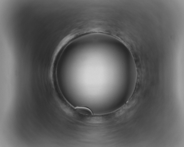 X0000113640104200909251249