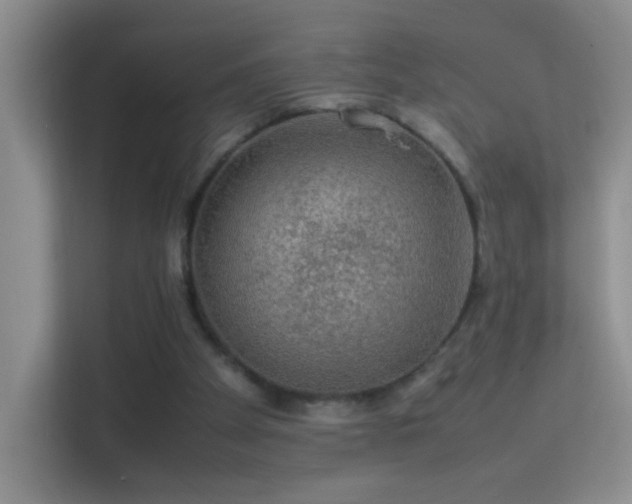 X0000113640105200909251249