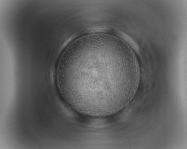 X0000113640107200909251249