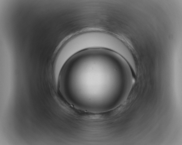 X0000113640108200909251249