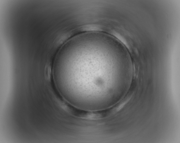 X0000113640109200909251249