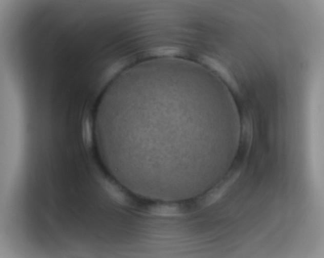 X0000113640110200909251249