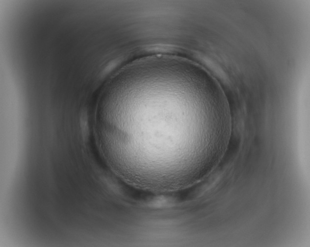 X0000113640111200909251249