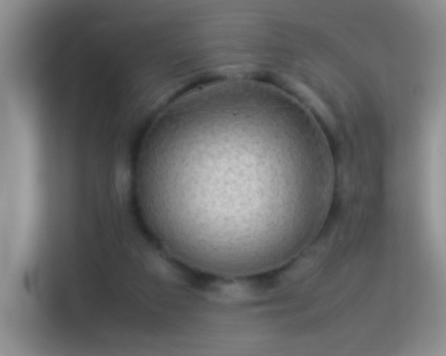 X0000113640113200909251249