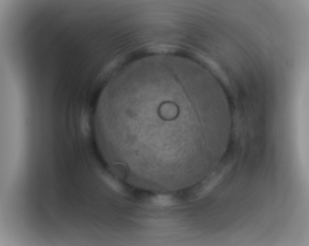 X0000113640114200909251249