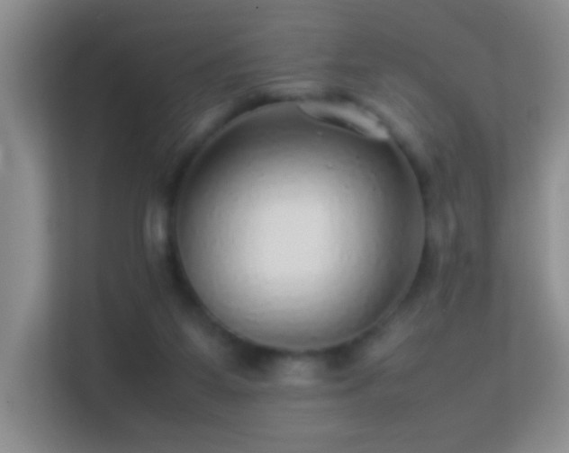 X0000113640115200909251249