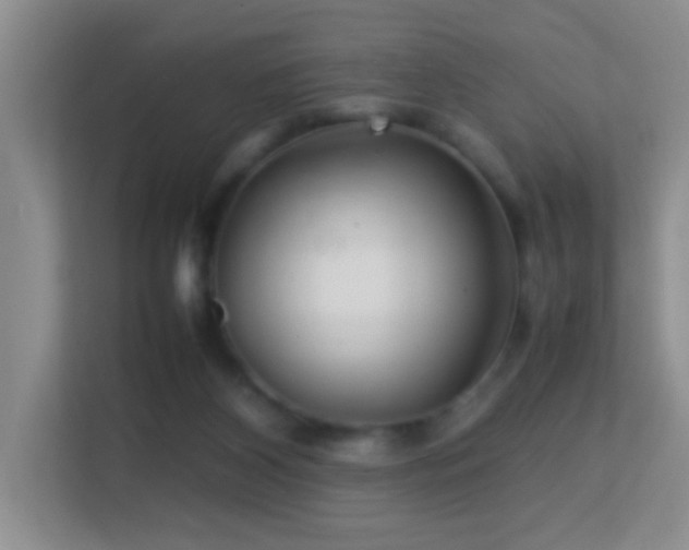 X0000113640116200909251249