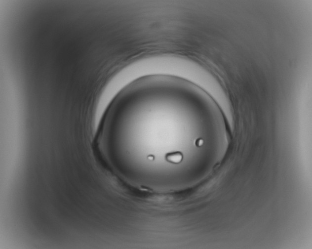 X0000113640117200909251249